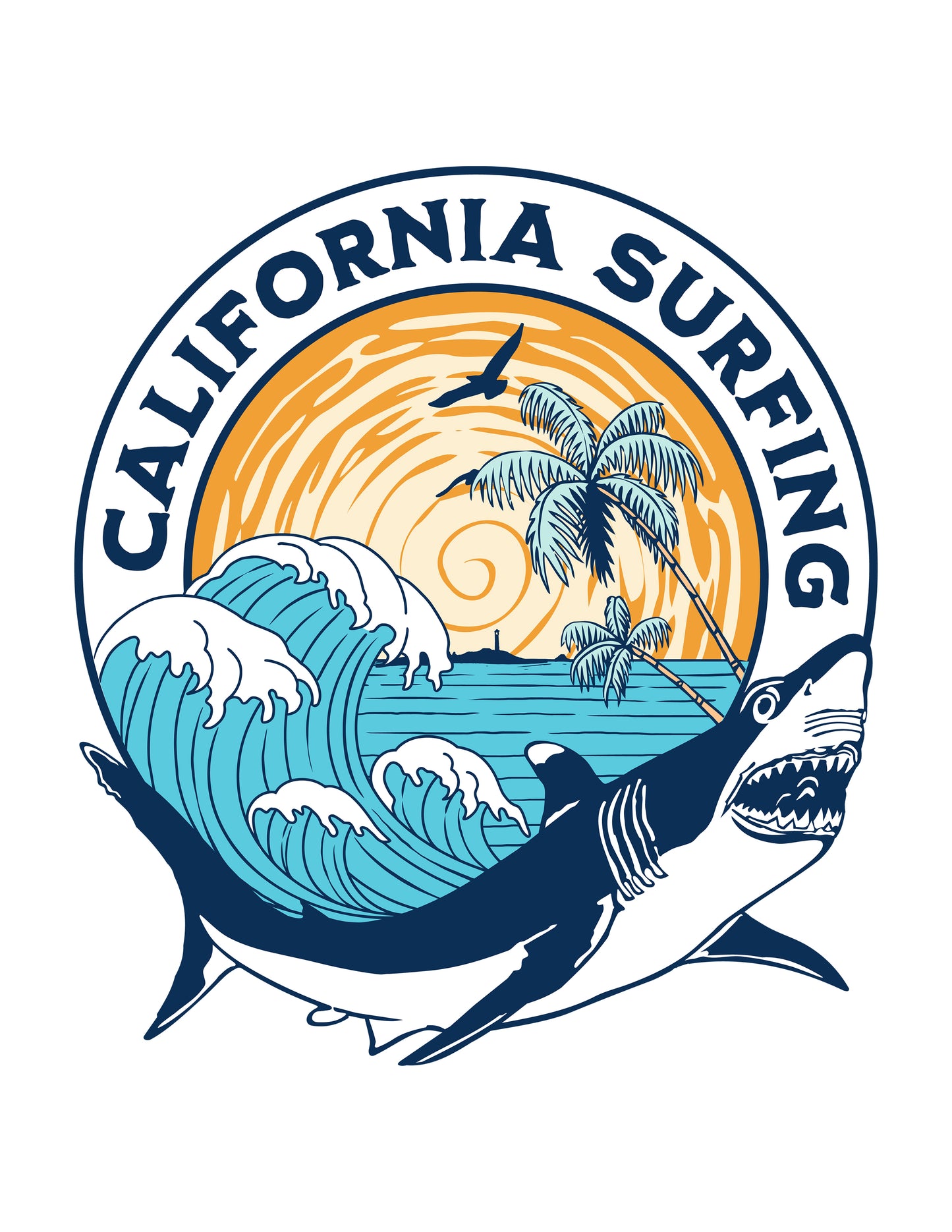 California Surfing