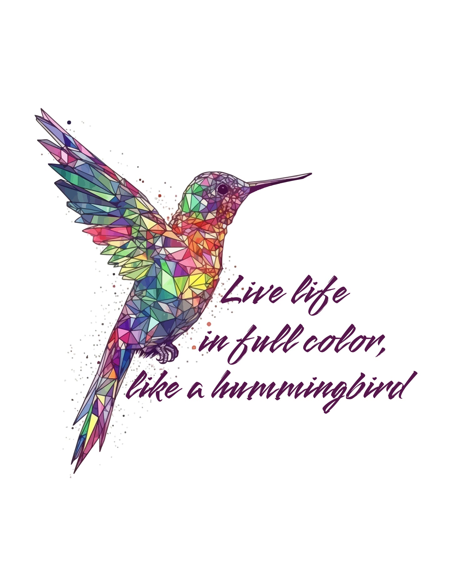 Live Life in Full Color Like A Hummingbird